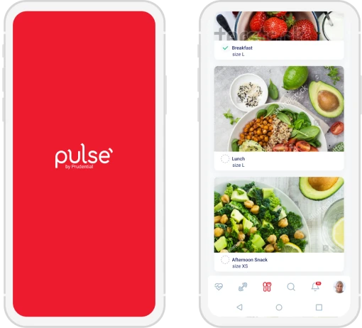 prudentialpulse-image